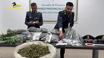 Napoli, sequestrata piantagione di canapa indiana e oltre 50 kg di marijuana già essiccata 