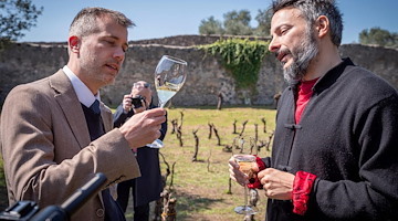 Nasce un'azienda vitivinicola nel Parco Archeologico di Pompei