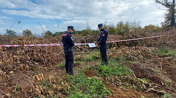 Nel Casertano estirpato un'intero bosco in area sottoposta a vincolo 