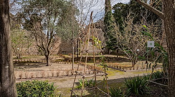 Pompei, aperta la "Casa dell'Orto Botanico": un nuovo tassello verde all'interno dell'area archeologica 