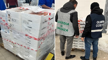 Porto di Salerno: eseguiti importanti e capillari controlli alla filiera ittica locale 