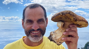 Positano, fungo porcino record trovato da Fabio Fusco: un gigante di quasi 1 kg /foto