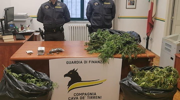 Scoperta una vera e propria piantagione sul terrazzo di casa: uomo arrestato a Cava de' Tirreni 