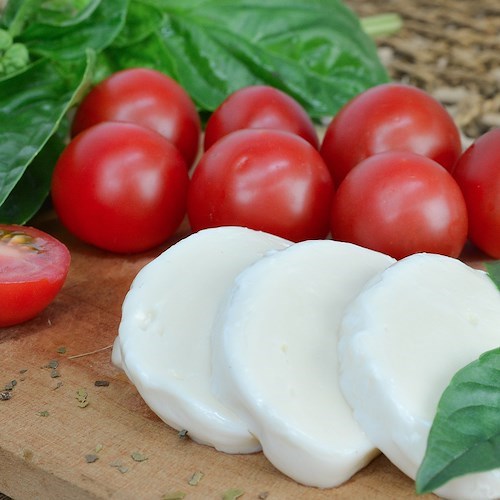 Mozzarella, pomodori<br />&copy; TaniAviles