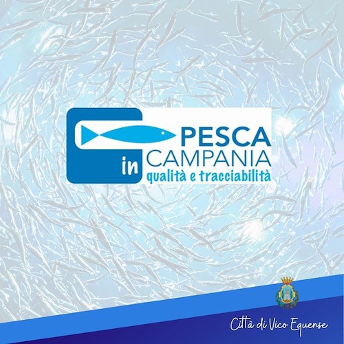 Pesca in Campania<br />&copy; Città di Vico Equense