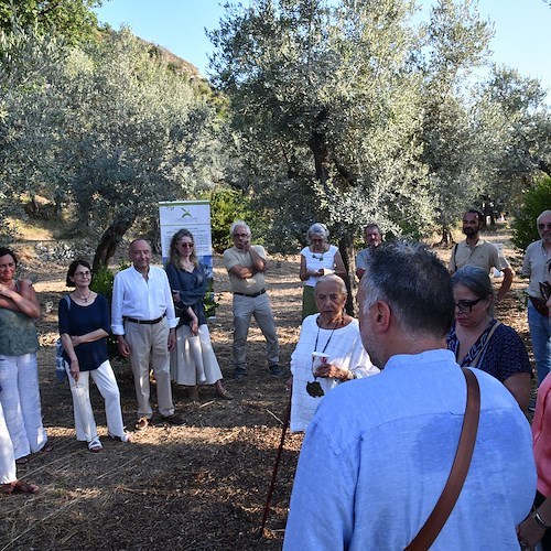 convegno de L’Oro di Capri con i ricercatori del CNR sugli ulivi secolari dell’isola