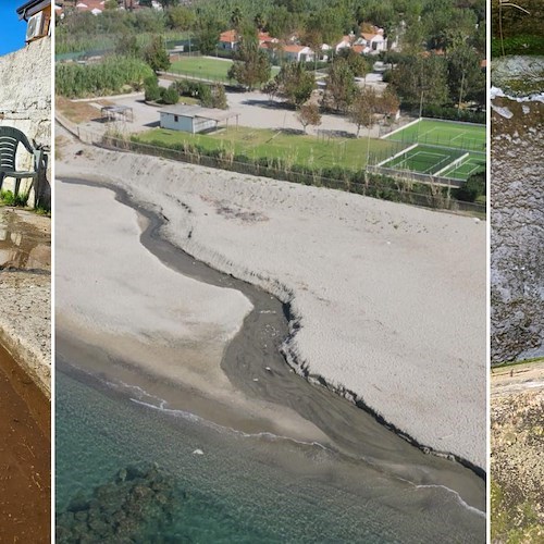 irregolarità in un maneggio e in un villaggio turistico