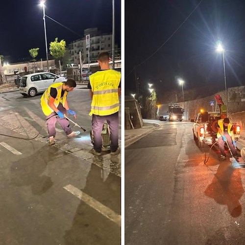 a Sorrento interventi straordinari di disinfestazione nelle strade cittadine<br />&copy; Comune di Sorrento