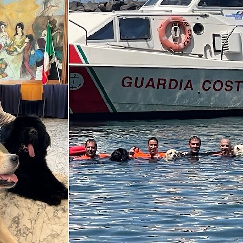 Cani da salvataggio protagonisti della Giornata mondiale della Prevenzione dell’Annegamento a Piano di Sorrento<br />&copy; Salvatore Cappiello