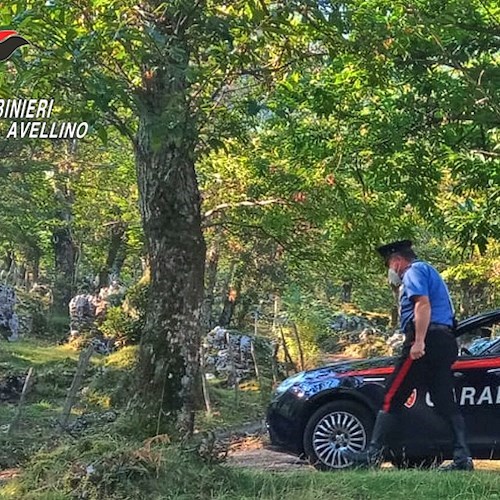 Carabinieri nel bosco<br />&copy; Carabinieri Avellino