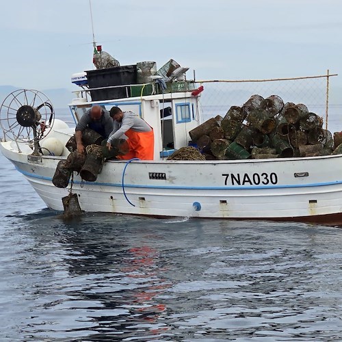 Sequestrate 80 nasse abbandonate nei fondali del mare di Forio<br />&copy; Area Marina Protetta Regno di Nettuno