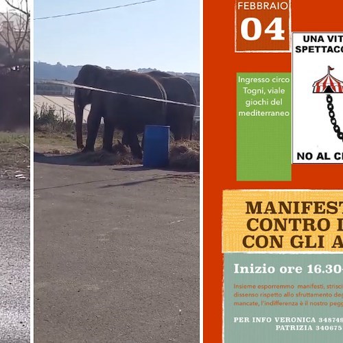 Fuorigrotta, 4 febbraio manifestazione cittadina contro lo sfruttamento degli animali al circo<br />&copy; Francesco Emilio Borrelli