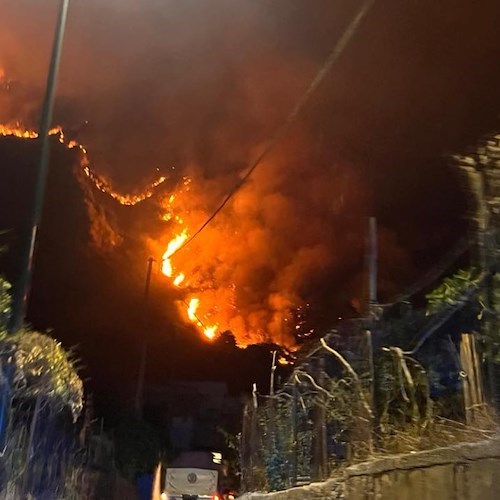 Incendio di Camaldoli<br />&copy; Protezione Civile - Coordinamento Vesuvius