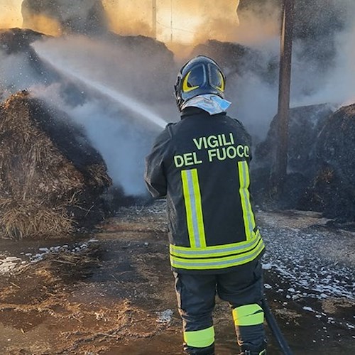 Incendio in un'azienda bufalina<br />&copy; Vigili del fuoco