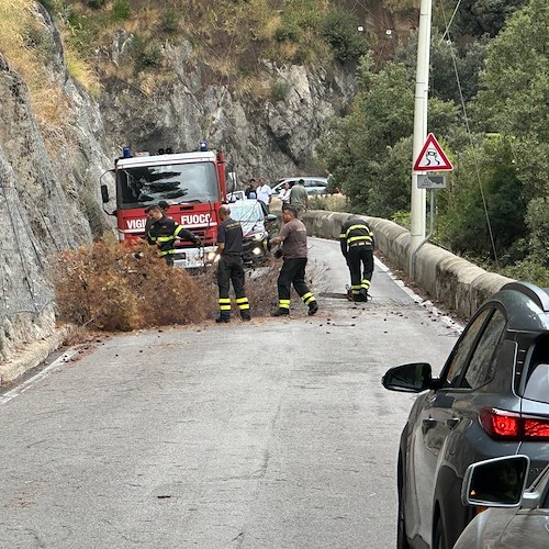 Maiori, caduta di rami sulla 163 Amalfitana in località Capo d'orso