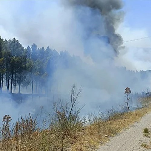 Incendio a Nova Siri<br />&copy; Vigili del fuoco