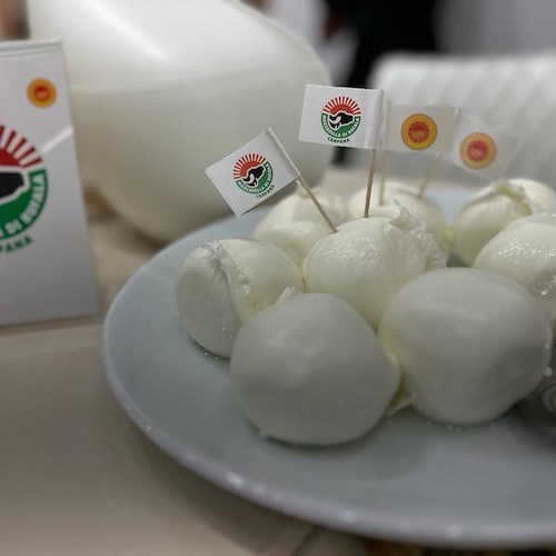 Mozzarella di Bufala Campana DOP<br />&copy; Mozzarella di Bufala Campana DOP