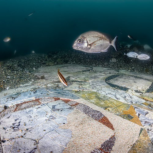 La porzione da poco restaurata del pavimento in marmo della Villa a protiro nel Parco sommerso di Baia,<br />&copy; Edoardo Ruspantini