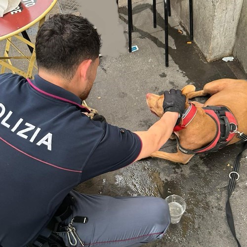 Polizia con il cane salvato<br />&copy; Questura di Roma