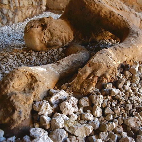 gruppo di calchi a Pompei<br />&copy; Parco Archeologico di Pompei