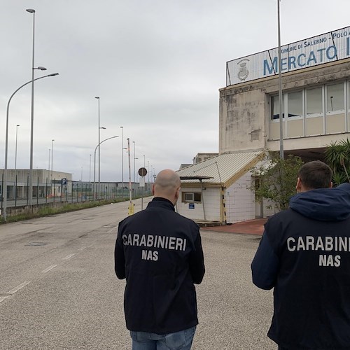 Salerno, mercato ittico: quattro diffide e sequestri di pesce non tracciato<br />&copy; Carabinieri Nas