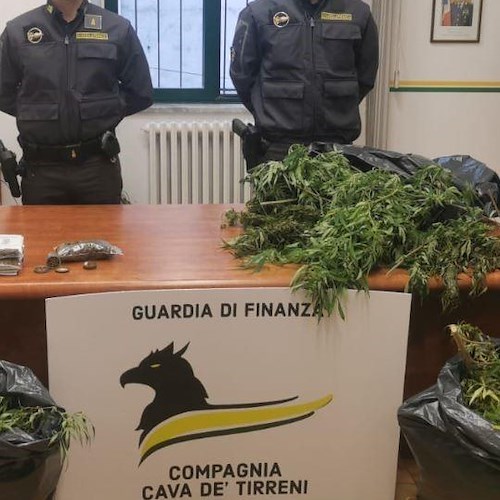 piantagione<br />&copy; Guardia di finanza