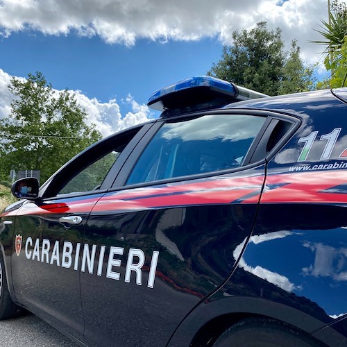 Carabinieri<br />&copy; Facebook