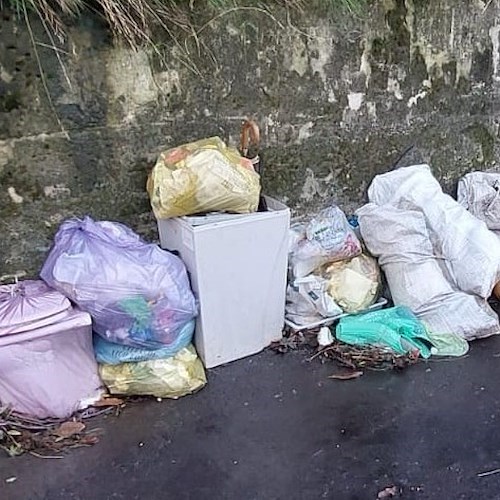Vico Equense, individuati i responsabili dell'abbandono di rifiuti sulla strada tra Arola ed Alberi<br />&copy; Peppe Aiello