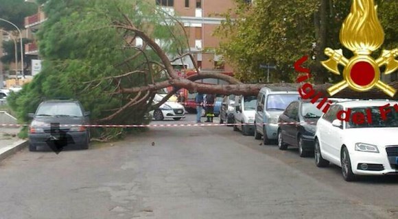 Tragedia a Roma, albero crolla nel quartiere Colli Aniene: morta una donna 