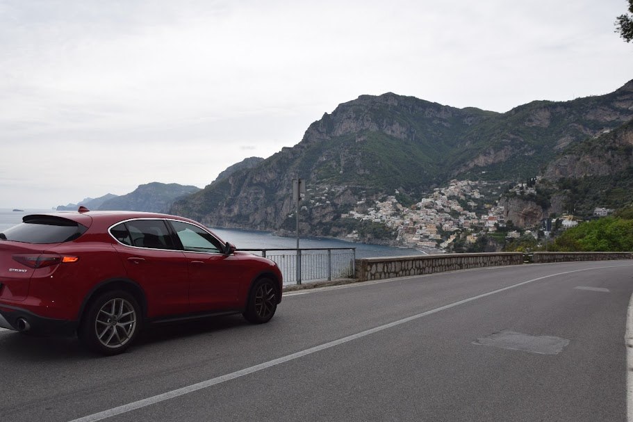 Positano Notizie - Gattino scuoiato vivo, la storia di Leone arriva in  parlamento. Borrelli: «Mai più tali violenze indicibili»